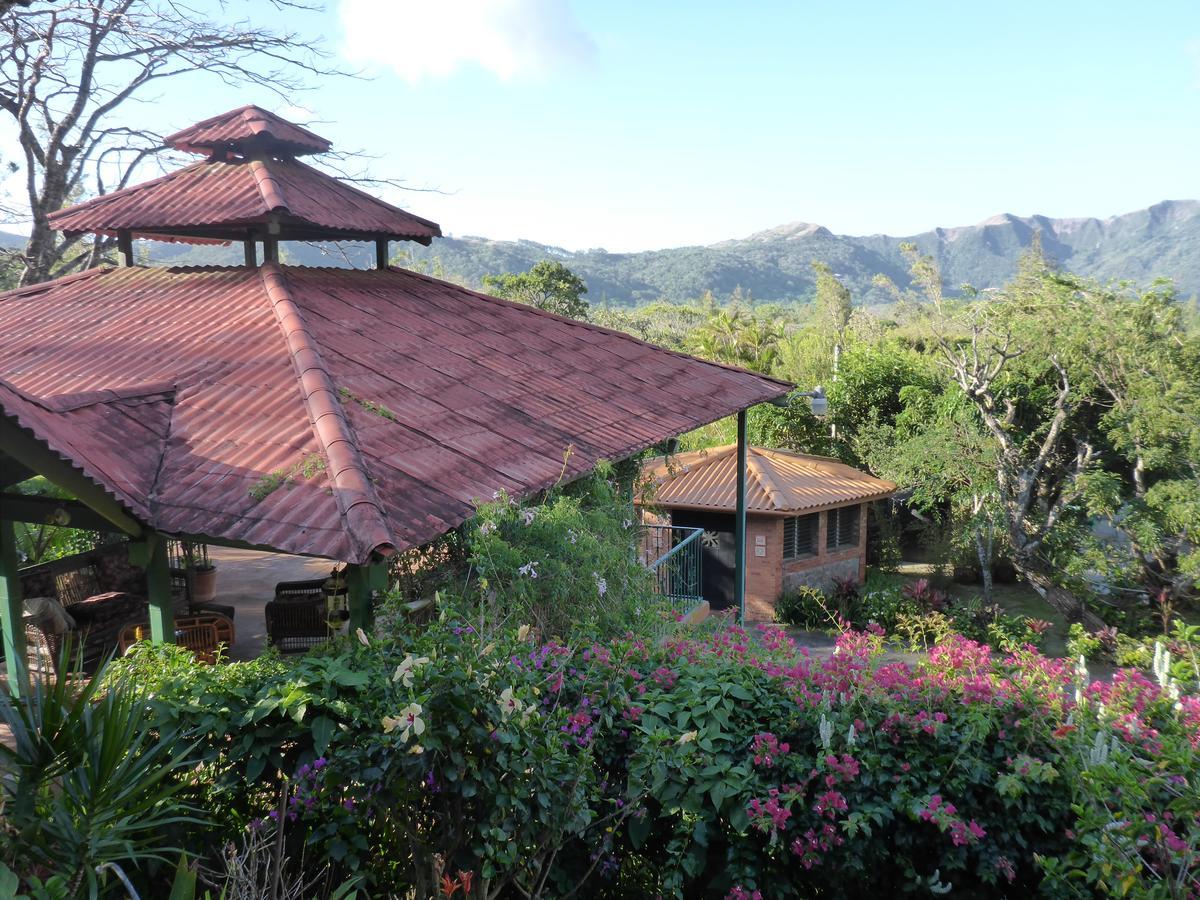 The Golden Frog Inn El Valle de Anton Exterior foto